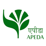 189-1896116_member-of-apeda-apeda-logo-png-clipart-1024x576